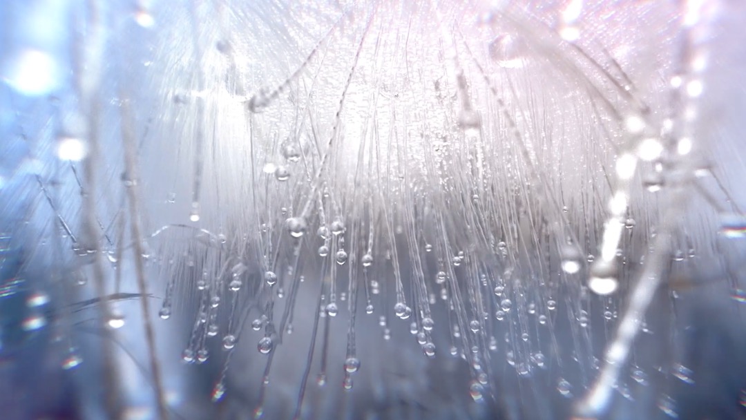 Beko- Live Like a Pro