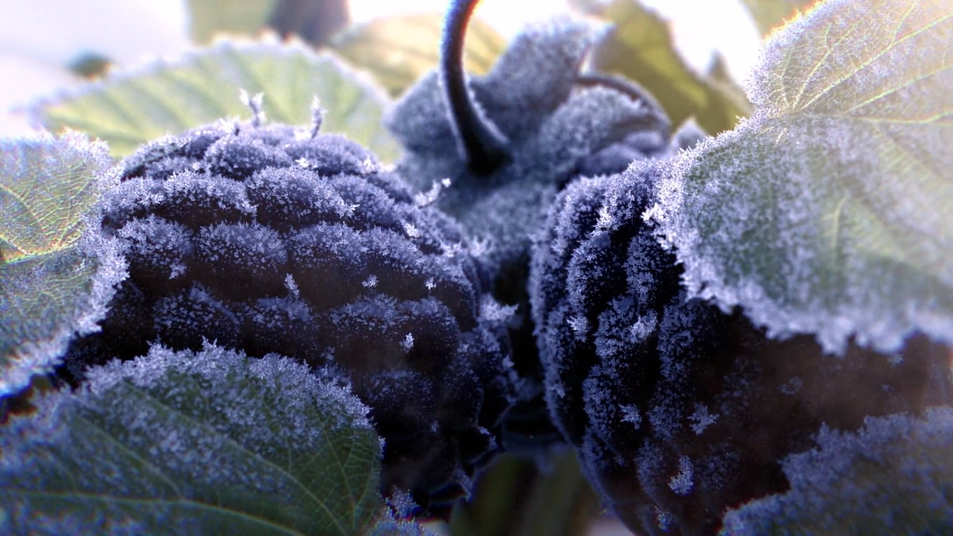 Nokia - To the power of N